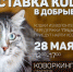 Впервые в Дмитрове! Выставка-раздача кошек в добрые руки! - Дмитровский вестник