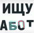 Вместе поможем выпускникам найти работу - Дмитровский вестник