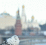 Морозная погода без осадков ожидается в конце недели в Московском регионе - Дмитровский вестник
