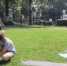Праздник солнечного лета в «Березовой роще» - Дмитровский район