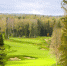 Гольф-клубы Дмитровского округа принимают первый в России fam-trip «Golf in Russia»-2019 - Дмитровский вестник