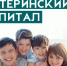 Размер материнского капитала увеличен до 466 617 рублей - Дмитровский вестник