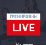 В Подмосковье проводится серия онлайн-тренировок «Живу Спортом» - Дмитровский вестник