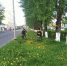 В Дмитровском округе продолжаются работы по благоустройству - Дмитровский вестник