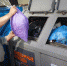 2409914.jpg - Дмитровский вестник