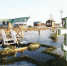 Hx9eD5LQjM0-1024x768.jpg - Дмитровский вестник