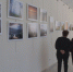 Фотовыставка  Андрея Иванова «Прекрасное рядом» - СМТ Вечерний Дмитров