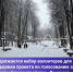 8aBSjhDHVa.jpg - Дмитровский вестник