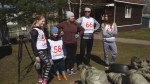 Плоггинг в Дмитрове