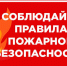 4 (1).jpg - Дмитровский вестник