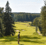 Гольф-клубы Дмитровского округа примут первый турне проекта Golf in Russia. - Дмитровский вестник