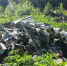 wlGnGdirY28.jpg - Дмитровский вестник