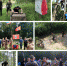 IMG-20210822-WA0035.jpg - Дмитровский вестник