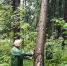 hgXqiTflAIU.jpg - Дмитровский вестник