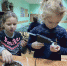 yRhjTUTYP08.jpg - Дмитровский вестник