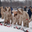 3.jpeg - Дмитровский вестник