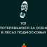 потеряшки_осень_.jpg - Дмитровский вестник