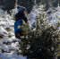 68d754415d9ef4ce7199e462eca198dc.png - Дмитровский вестник