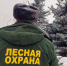 9 (8).jpg - Дмитровский вестник