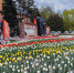 DSC00303.jpg - Дмитровский вестник