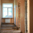 photo_2022-06-17_10-08-03_(4).jpg - Дмитровский вестник