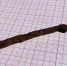 Click to enlarge image 8gW4BL04pz0.jpg - Управление по развитию культуры и туризма