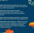 Click to enlarge image BCQEyKaGrWU.jpg - Управление по развитию культуры и туризма