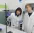 Дмитровские школьники приняли участие в профессиональных пробах - Город Дмитров