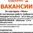 🏎️ Открыты вакансии на картодром «Маяк». - Институт непрерывного образования