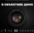 Фотоконкурс «В объективе ДИНО». - Институт непрерывного образования