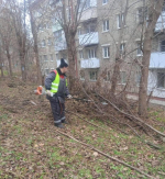 Службы благоустройства приводят в порядок территорию Дмитровского округа перед зимней эксплуатацией