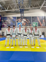 Дмитровские спортсмены достойно выступили на Первенстве Подмосковья по дзюдо