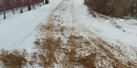 Главную дорогу в деревню Скриплево обработали пескосолью по просьбе жителей - Regions.Ru