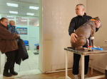 Хозяевам домашних питомцев из Дмитрова назвали неоценимые плюсы чипирования