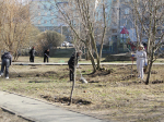 Почти 2 тыс. человек взяли в руки метлы и грабли, чтобы убрать Дмитровский округ