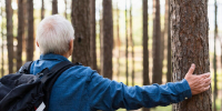 Стала известна судьба пропавшего под Дмитровом 73-летнего мужчины - Regions.Ru