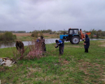 В Дмитровском округе убрали остатки упавших при урагане деревьев с берегов водоемов