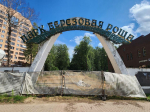Каким будет парк «Березовая роща» в Дмитрове после масштабного обновления