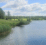 В Дмитровском округе началась расчистка Синьковского водохранилища - Regions.Ru