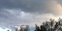 Не выше +17°C и дожди: какой будет погода в Подмосковье 18 августа - Regions.Ru