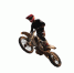 Экстремальное шоу FMX13 с участием легенды мотофристайла ройдет 23 августа в Дмитрове - Regions.Ru
