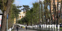 Синоптики рассказали о погоде в Подмосковье 28 августа - Regions.Ru