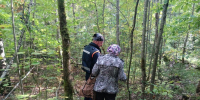 Спасатели нашли двух женщин, заблудившихся в лесу в Дмитровском округе - Regions.Ru