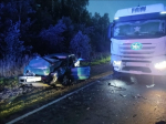 Спасатели оказали помощь пострадавшим в ДТП в Дмитрове