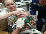 В Дмитрове спасатели сняли с головы двухлетней девочки застрявший горшок