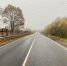 В Дмитровском округе нанесли разметку на 43 км отремонтированных дорог - Regions.Ru