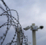 Сроки братьев Мельниковых из Дмитрова за попытку диверсии сократили на два месяца - Regions.Ru
