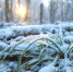 Когда придет настоящая зима? Синоптики рассказали о погоде в Подмосковье до декабря - Regions.Ru