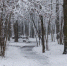 От +6°С до -7°С: как изменится погода в Подмосковье на предстоящей неделе - Regions.Ru