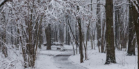 От +6°С до -7°С: как изменится погода в Подмосковье на предстоящей неделе - Regions.Ru